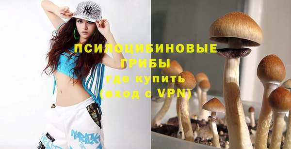 спайс Нея