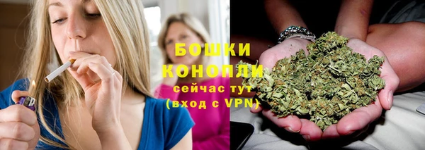 спайс Нея