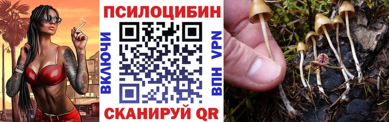 где продают   KRAKEN как зайти  Галлюциногенные грибы мицелий  Иноземцево 